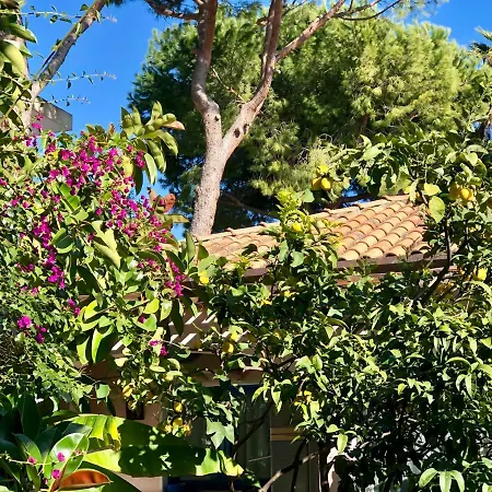 Sanremo, Relax Sul Mare Di Porto Sole, Tra Fiori E Profumi Lejlighed Sanremo